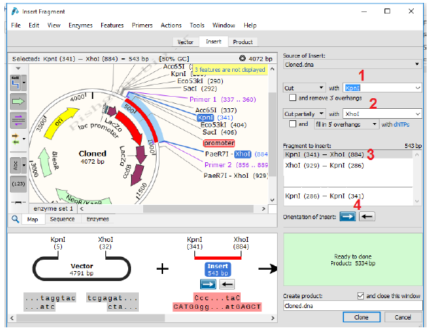 آموزش جامع نرمافزار SnapGene برای کلونینگ ژن ها ، مراحل کلون نمودن ژن ها و طراحی پرایمر برای کلونینگ - تصویر 2