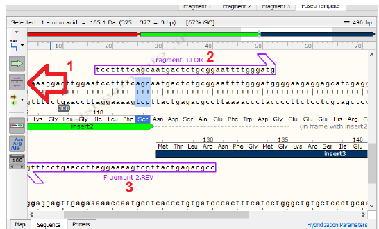 آموزش جامع نرمافزار SnapGene برای کلونینگ ژن ها، مراحل کلون نمودن ژن ها و طراحی پرایمر برای کلونینگ