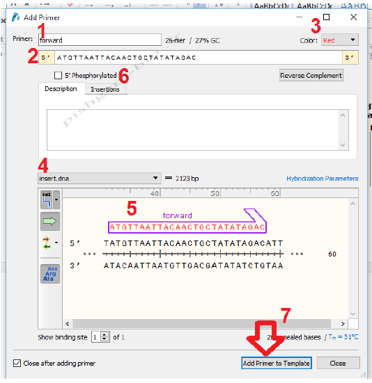 آموزش جامع نرمافزار SnapGene برای کلونینگ ژن ها، مراحل کلون نمودن ژن ها و طراحی پرایمر برای کلونینگ