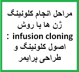 مراحل انجام کلونینگ ژن ها با روش infusion cloning : اصول کلونینگ و طراحی پرایمر