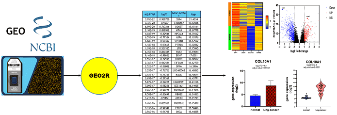 معرفی آموزش آشنایی با پایگاه داده GEO و آموزش نرم افزار GEO2R