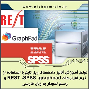 فیلم آموزش آنالیز دادههای ریل تایم (real time pcr) با استفاده از نرم افزارهای REST، SPSS ، graphpad و رسم نمودار به زبان فارسی