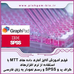 فیلم آموزش آنالیز آماری داده های MTT با استفاده از نرم افزارهای گراف پد پریسم و SPSS و محاسبه پارامترهای مربوطه مانند IC50 ، به زبان فارسی