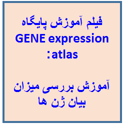 فیلم آموزش پایگاه gene expression atlas : آموزش بررسی میزان بیان ژن ها با استفاده از پایگاه gene expression atlas به زبان فارسی