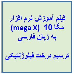 فیلم آموزش نرم افزار مگا 10 (mega X) به زبان فارسی: آموزش ترسیم درخت فیلوژنتیکی با نرم افزار مگا با توالی نوکلئوتیدی