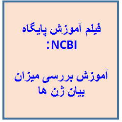 فیلم آموزش پایگاه ncbi : آموزش بررسی میزان بیان ژن ها با استفاده از پایگاه ncbi به زبان فارسی