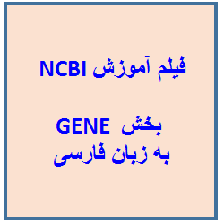 فیلم آموزشی بخش GENE پایگاه داده NCBI به زبان فارسی - دریافت اطلاعات مربوط به هر ژن