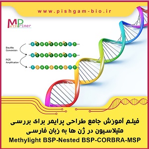 فیلم آموزش جامع طراحی پرایمر برای بررسی متیلاسیون در ژن ها به زبان فارسی