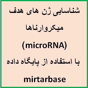 شناسایی ژن های هدف میکروارناها (microRNA) با استفاده از پایگاه داده mirtarbase