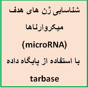 شناسایی ژن های هدف میکروارناها (microRNA) با استفاده از پایگاه داده tarbase