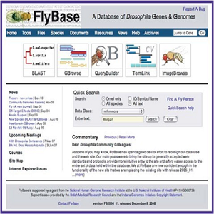 دیتابیس فلای بیس FlyBase جامعترین منبع اطلاعات ژنتیکی مگس سرکه