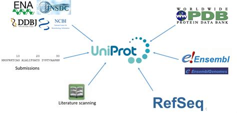 راهنمای پایگاه داده UniProt آموزش و نحوه استفاده از سایت