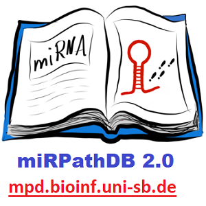 آشنایی با MiRPathDB 2.0: پایگاه داده جامع برای تحلیل مسیرهای بیولوژیکی مرتبط با میکروRNA
