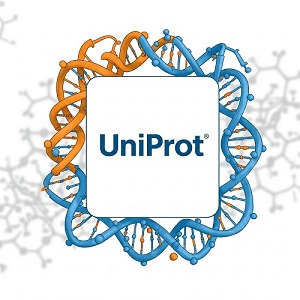 راهنمای پایگاه داده UniProt آموزش و نحوه استفاده از سایت