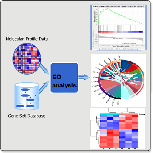 اهمیت بررسی عملکرد ژن‌ها و مسیرهای زیستی در تکمیل تحلیل داده‌های RNAseq و میکرواری