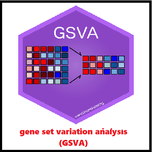 بررسی عملکرد ژن‌ها به روش GSVA: اهمیت، مزایا و معایب – فیلم فارسی