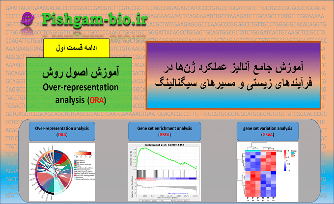 بررسی عملکرد ژن‌ها به روش ORA اهمیت، مزایا و معایب– فیلم فارسی