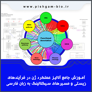 فیلم آموزش جامع آنالیز عملکرد ژن در فرآیندهای زیستی و مسیرهای سیگنالینگ به زبان فارسی