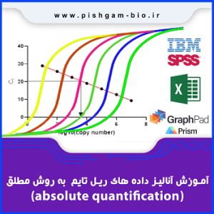 فیلم آموزش فارسی آنالیز دادههای Real-Time PCR به روش Absolute Quantification | رقتسازی، منحنی استاندارد و تعیین کپی ژن