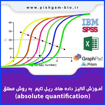 فیلم آموزش فارسی آنالیز داده‌های Real-Time PCR به روش Absolute Quantification | رقت‌سازی، منحنی استاندارد و تعیین کپی ژن