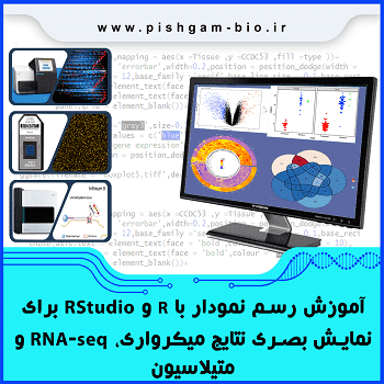 آموزش رسم نمودار با R و RStudio برای نمایش بصری نتایج میکرواری، RNA-seq و متیلاسیون