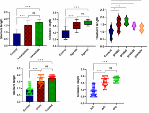 فیلم آموزش تحلیل و آنالیز دادهها در سنجش طول تلومر با روش Real-Time PCR (ریل تایم پیسیآر)