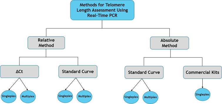 فیلم آموزش تحلیل و آنالیز دادهها در سنجش طول تلومر با روش Real-Time PCR (ریل تایم پیسیآر)