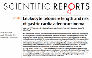 فیلم آموزش تحلیل و آنالیز دادهها در سنجش طول تلومر با روش Real-Time PCR (ریل تایم پیسیآر)