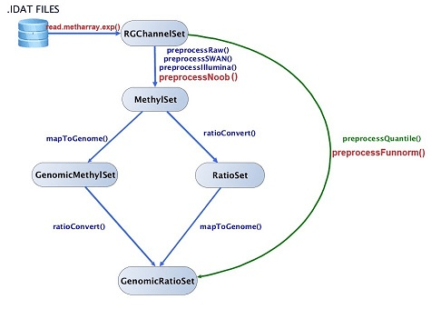 ادامه آموزش شناساسی و حذف نمونههای با کیفیت پایین با استفاده از پکیج minfi