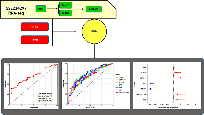 آموزش بررسی تغییرات بیان ژنها بین گروهها با استفاده از نرم افزار GEO2r برای دادههای RNAseq