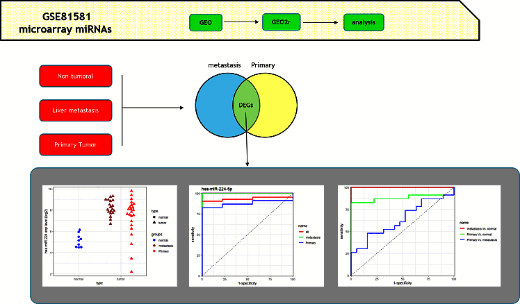 انجام آنالیز بیومارکری بر روی دادههای میکرواری