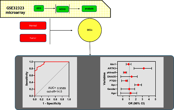 آموزش بررسی تغییرات بیان ژنها بین گروهها با نرم افزار GEO2r