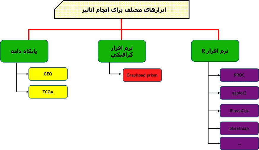 آموزش مرحلهبهمرحله از مبانی تا مدلسازی پیشرفته در تحلیل بیومارکرها