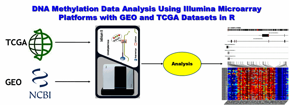 معرفی آموزش تحلیل دادههای متیلاسیون DNA با استفاده از پلتفرم میکرواری Illumina و دادههای GEO و TCGA در نرمافزار R