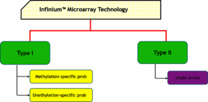 آشنایی با پلتفورم اینفینیوم نوع یک و دو (infinium I & II) برای بررسی سطح متیلاسیون