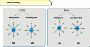آشنایی با پلتفورم اینفینیوم نوع یک و دو (infinium I & II) برای بررسی سطح متیلاسیون