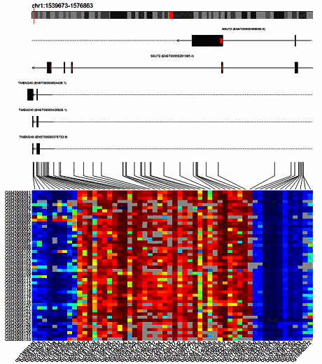 آموزش آنالیز سطح متیلاسیون و مقایسه اماری سطح متیلاسیون بین گروهها با پکیج minfi