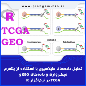 تحلیل دادههای متیلاسیون DNA با استفاده از پلتفرم میکرواری Illumina و دادههای GEO و TCGA در نرمافزار R