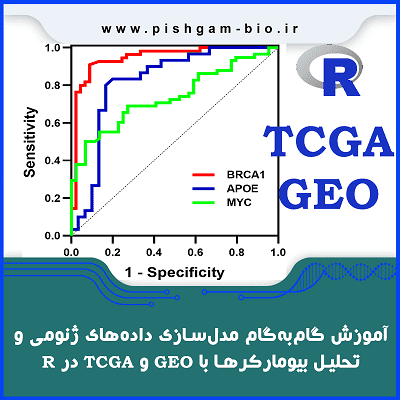 آموزش گامبهگام مدلسازی دادههای ژنومی و تحلیل بیومارکرها با GEO و TCGA در R