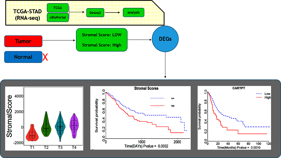 آشنایی با روشهای دانلود دادههای بیانی از برنامه TCGA