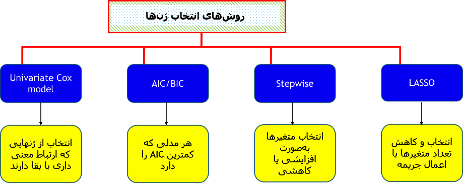 بخش تئوری روش مدل سازی برای آنالیز بیومارکرها