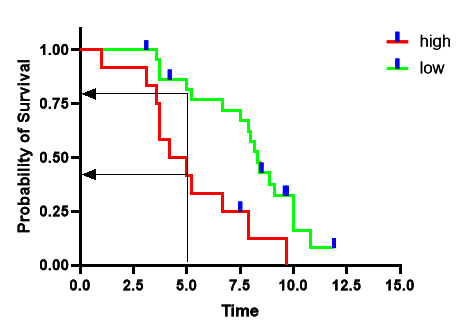 محاسبه نرخ بقاء 5 ساله