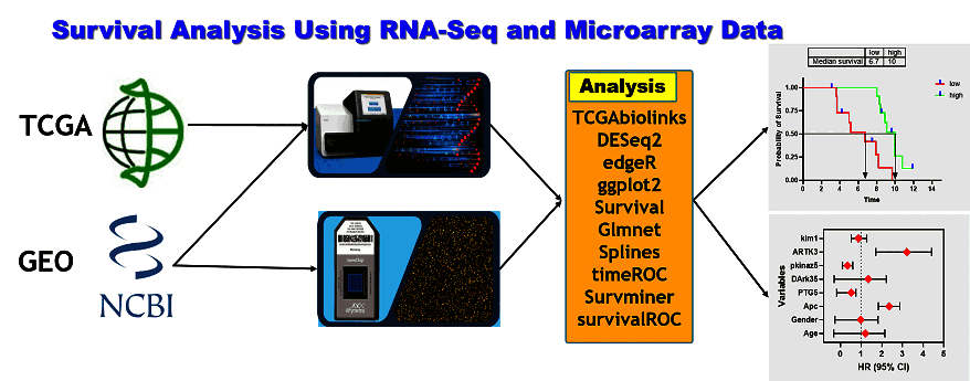 فیلم فارسی آموزش تحلیل بقا (Survival Analysis) با استفاده از دادههای بیان ژن (ارناسک و میکرواری) – از پایه تا ساخت مدلهای پیشبینی چندژنی